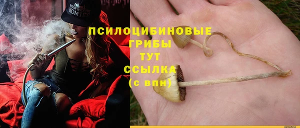 2c-b Сафоново