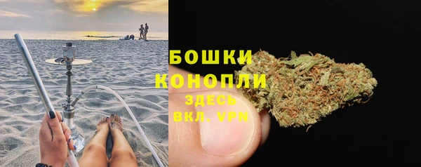 твердый Сатка