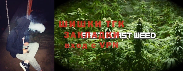 гашик Ельня
