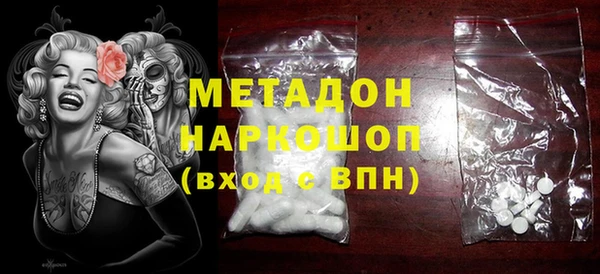 гашик Ельня