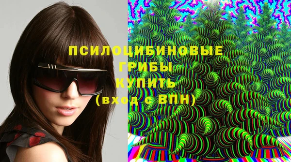 твердый Сатка