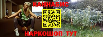 эйфоретик Кингисепп