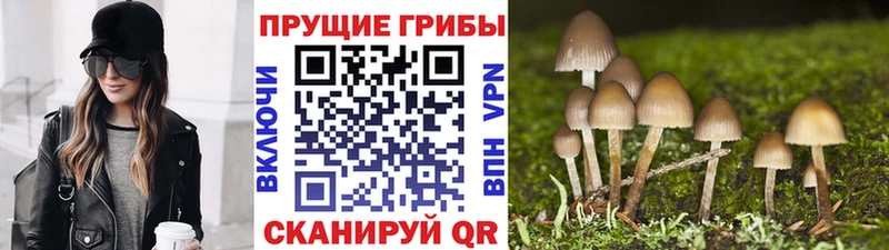 Галлюциногенные грибы мухоморы  omg ссылка  Заволжье  купить  цена 