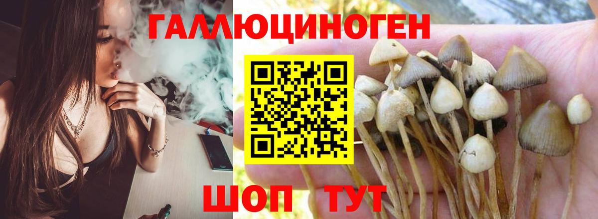 Псилоцибиновые грибы MAGIC MUSHROOMS  Псилоцибиновые грибы Cubensis  Заволжье  Вход с VPN 