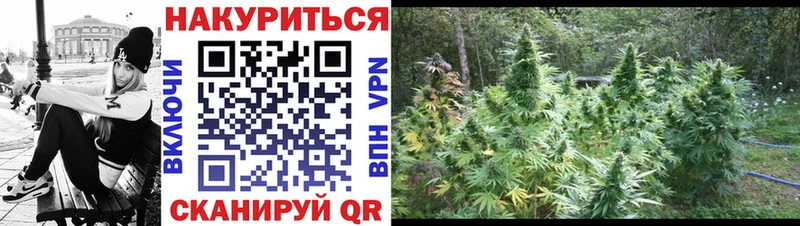 Каннабис OG Kush  mega ссылка  Заволжье 